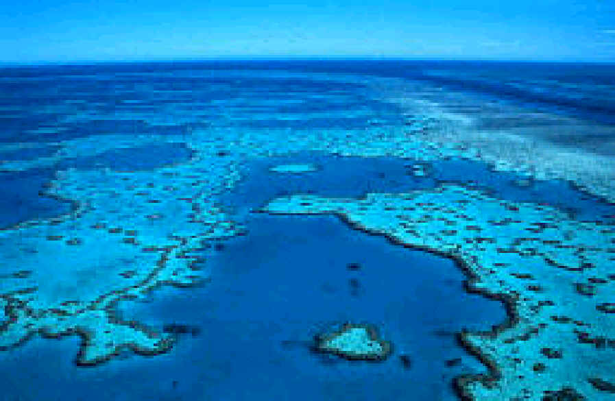 Image of Barrier Reef